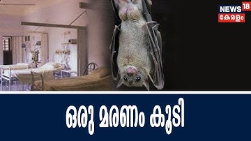 നിപ വൈറസ് പനി ബാധിച്ച് കോഴിക്കോട്ട് ഒരു മരണം കൂടി; മരിച്ചത് പേരാമ്പ്ര ആശുപത്രിയിലെ നഴ്‌സ്