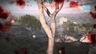 Trees are OP!