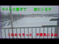 1日一人で家にいますウイルスのため