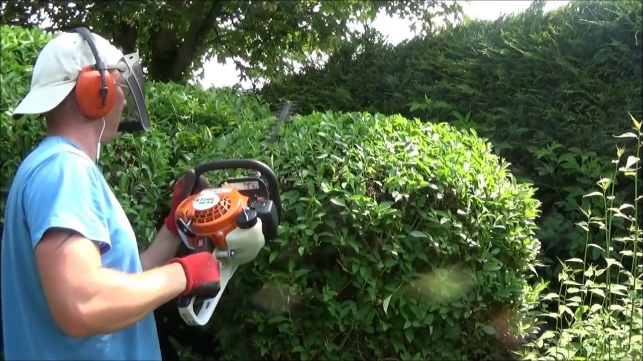 Cutting Forsythia with the Stihl HS 45