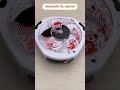 Automatic Fly Catcher | #shorts