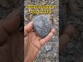 They are not always good but there can be fossils. Take care they don't fall on you though!
