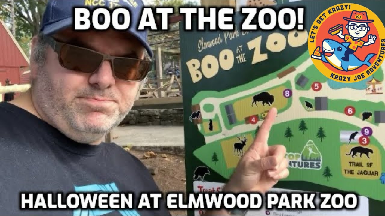 Boo at the Zoo: Halloween at the Elmwood Park Zoo - YouTube