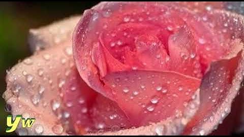 054  محمد طبلاوي Surat Al Qamar   سورة القمر