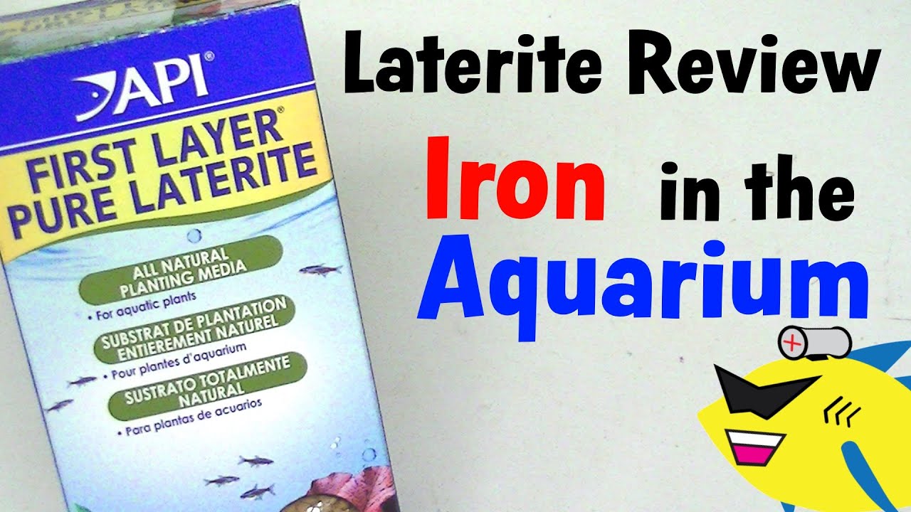 Iron In The Aquarium API Laterite Review YouTube
