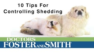 10 Tips to Control Pet Shedding | DrsFosterSmith.com by Drs. Foster and Smith Pet Supplies 1,229 views 8 years ago 1 minute, 8 seconds