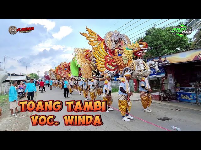 WINDA ANDI PUTRA 1 TOANG TAMBI | Show Indramayu Karangsong class=