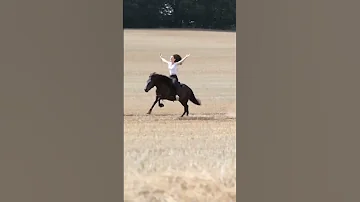 Horse Riding Girl 