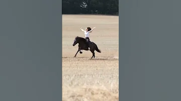 Horse Riding Girl 