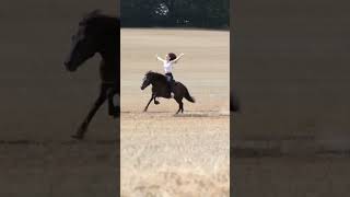 horse riding girl