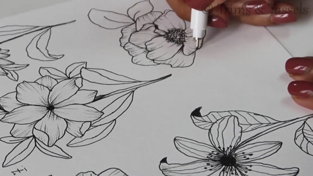 Drawing Sketch Flower, flower, leaf, branch png | PNGEgg
