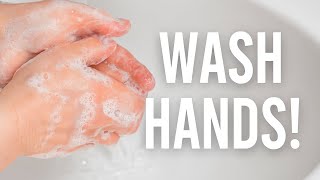 "Your Hands Are Dirtier Than a Toilet Seat – Here's Why You MUST Wash Them"