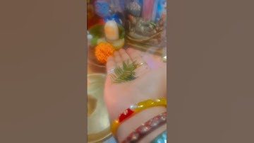 #लक्ष्मी वृद्धि और कर्ज मुक्ति के लिए शमी पत्र और काली तिल का ये उपाय करें