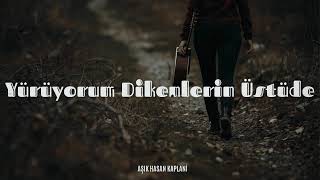 Yürüyorum Dikenlerin Üstüne - Anatolian Psychedelic Vibes (Melodic Cover) Resimi