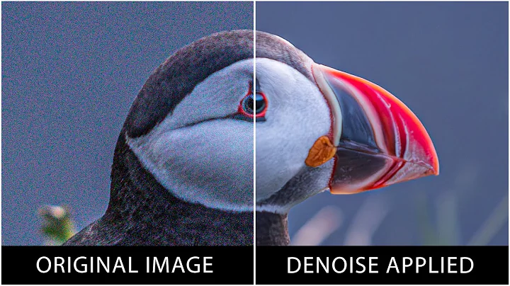 Everything You Need to Know About Denoise in Lightroom Classic