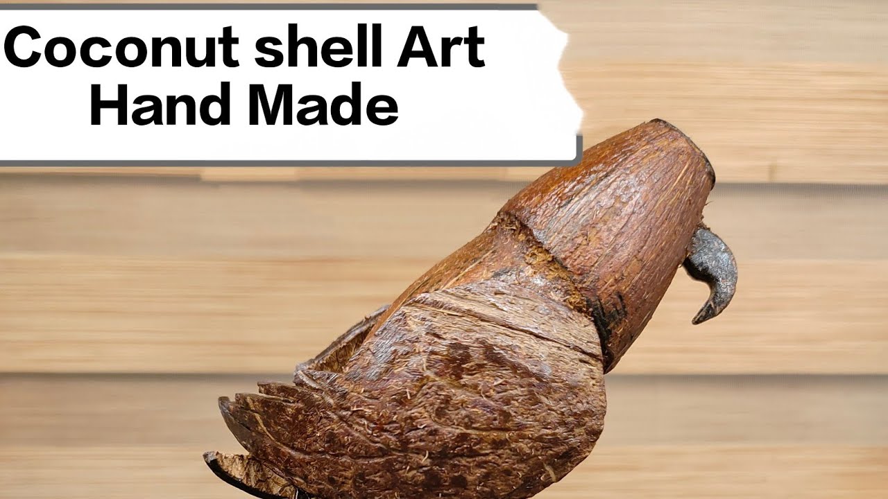 How To Make A Bird Using a Coconut Shell !!!  #art 