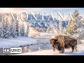 Montana 4K - Deep Winter in the Rockies: Snowy Forests, Alpine Lakes &amp; Wild Peace