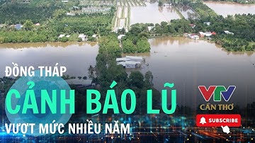 Đồng Tháp phát cảnh báo lũ khẩn cấp, mực nước vượt báo động III | VTV CẦN THƠ