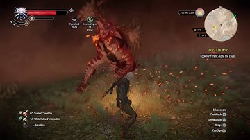 The Witcher 3: where you going Willis?