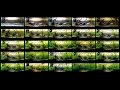 Aquascape step by step by andrea perotti