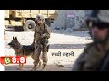 Megan Leavey 2017 War/Drama  Review/Plot in Hindi &amp; Urdu