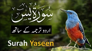 Surah Yaseen | Yasin  with Urdu translation full | Session 0001 | Quran with Urdu Hindi Translation