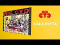 Big cyc  z gitar wrd zwierzt 1996  caa pyta