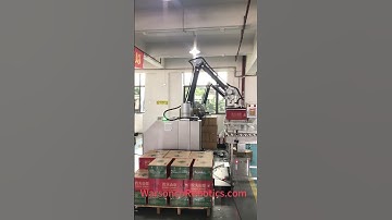 Warsonco Palletizing Robot, Cobot Palletizer