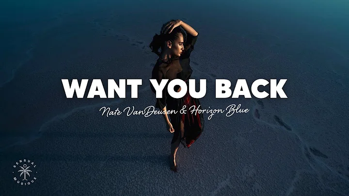 Nate VanDeusen & Horizon Blue - Want You Back (Lyr...