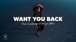 Nate VanDeusen & Horizon Blue - Want You Back (Lyrics) Resimi