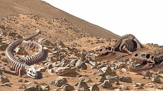 Perseverance Rover Video - Sol 1078 | Mars Latest Video | Mars 4k Video | Mars New 4k Video