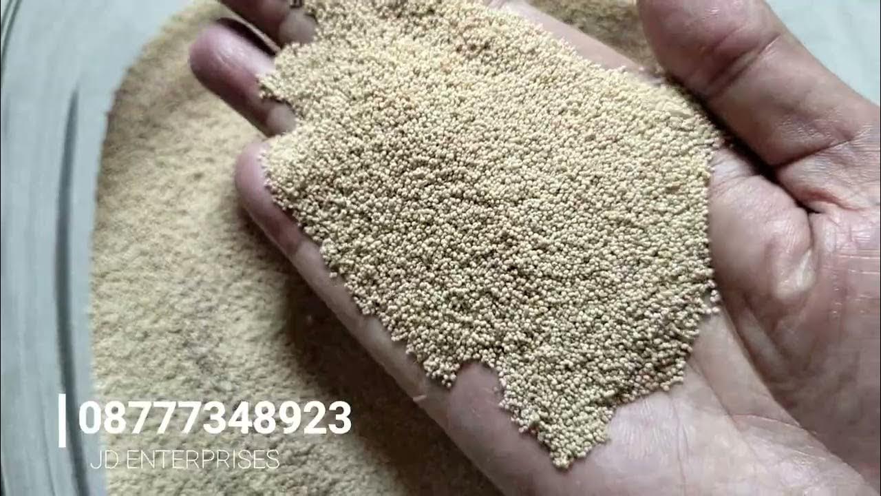 Poppy Seed Wholesale পোস্ত পোস্তদানা পাইকারি বিক্রী YouTube