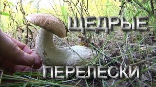 Щедрые Прелески