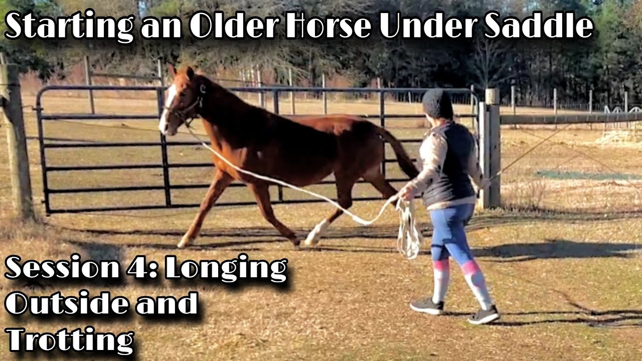 Starting an Older Horse Under Saddle, Session 4 Longing Outside and Trotting YouTube