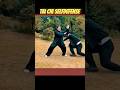 Tai Chi Self-defense Tutorial ⚡💥 #taichi #kungfu #selfdefense #selfdefenseskills #shorts