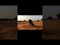Bike stunt drifting #yamaha #shorts #youtubeshorts  #whatsappstatus#whatsapp #drifting #viral #video
