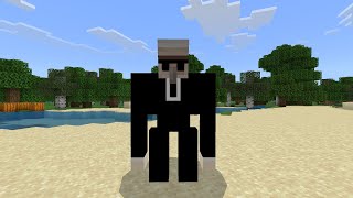 Bodyguard Addon Gamelay screenshot 3