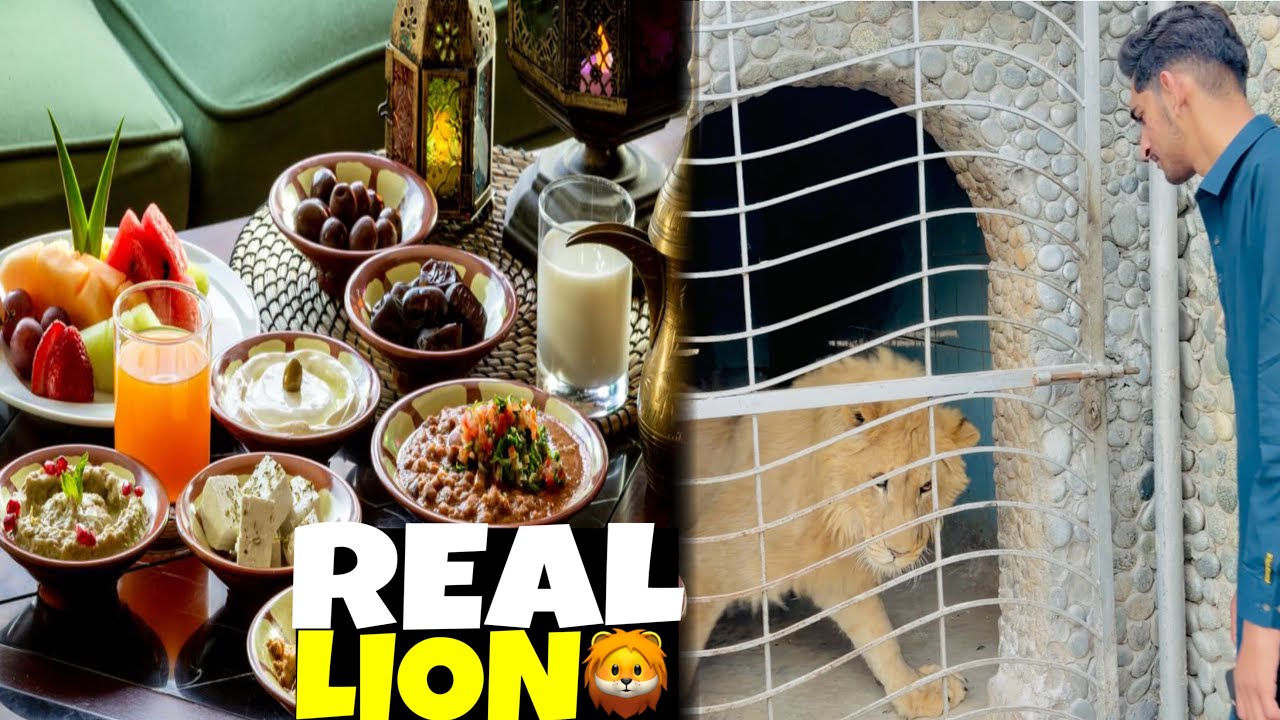 Real lion 🦁 Vist Garden Zoo 😱 VIP Ifter With Ahsan Supari 😍