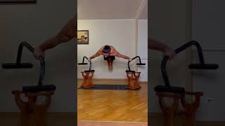DRAGON MALTESE. Top calisthenics athlete
