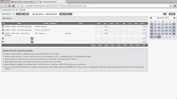 Tracking Time - How to use Function Point Software