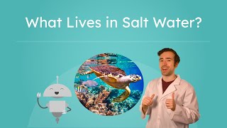 What Lives in Salt Water? - Ocean Biomes and Marine Life