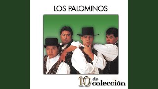 Nunca Me Olvides