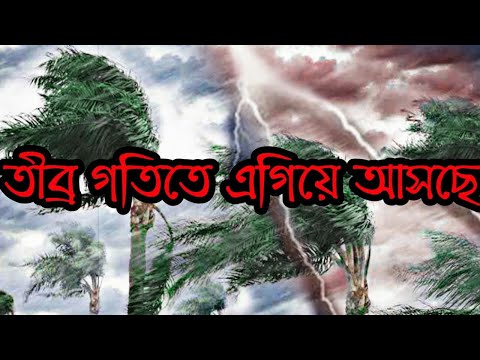 ভিডিও: তারিখ জাম