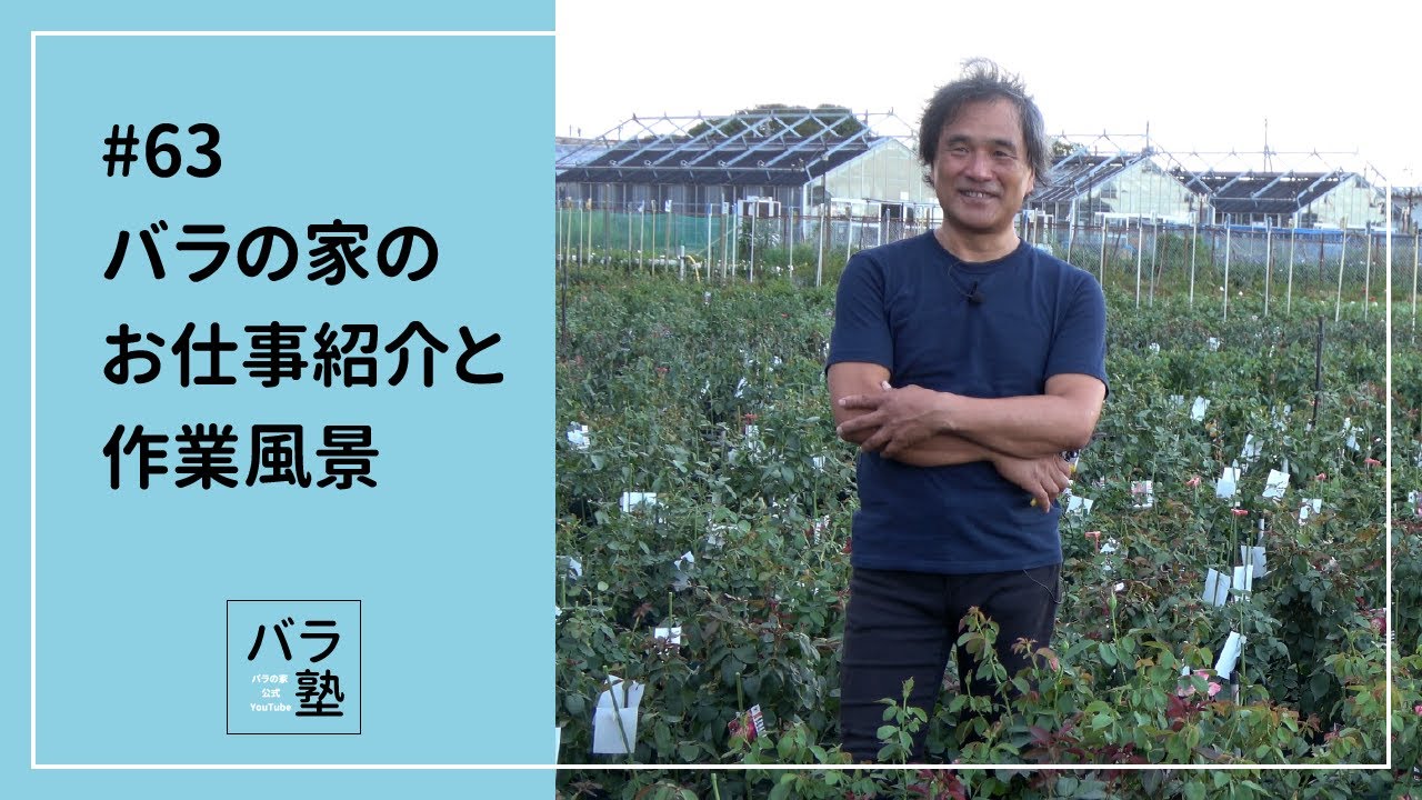 63 バラの家のお仕事紹介と作業風景 - YouTube