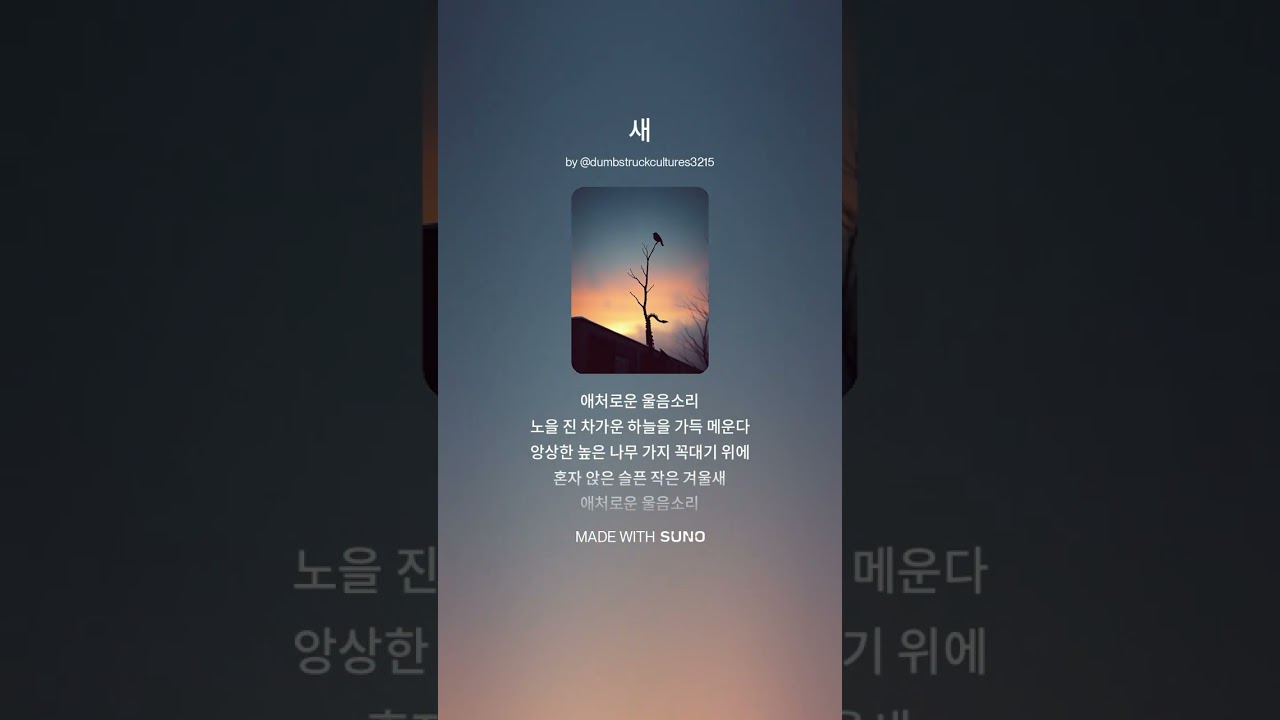 새 ㅡ 최성필시인 #새 #외로운 #겨울새 #앙상한나무