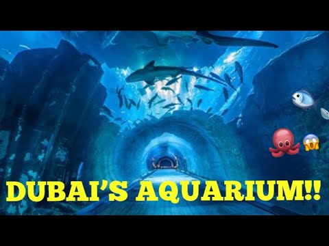 DUBAI AQUARIUM #VLOG2