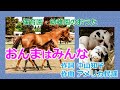 童謡唱歌「おんまはみんな」"The Old Gray Mare"