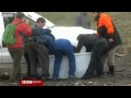 Lost penguin Happy Feet freed south of New Zealand