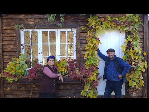 فيديو: هيدروجيل في المنزل الريفي