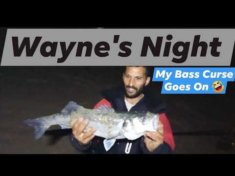 Bass Fishing, North Wales @Theblankingangler-y5m